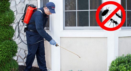 Kartepe Akrep İlaçlama böcek ilaçlama ve haşere kontrolü — ilaclama-tr.com